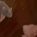 Rattenkonig rat crawling towards its mother ending graphic